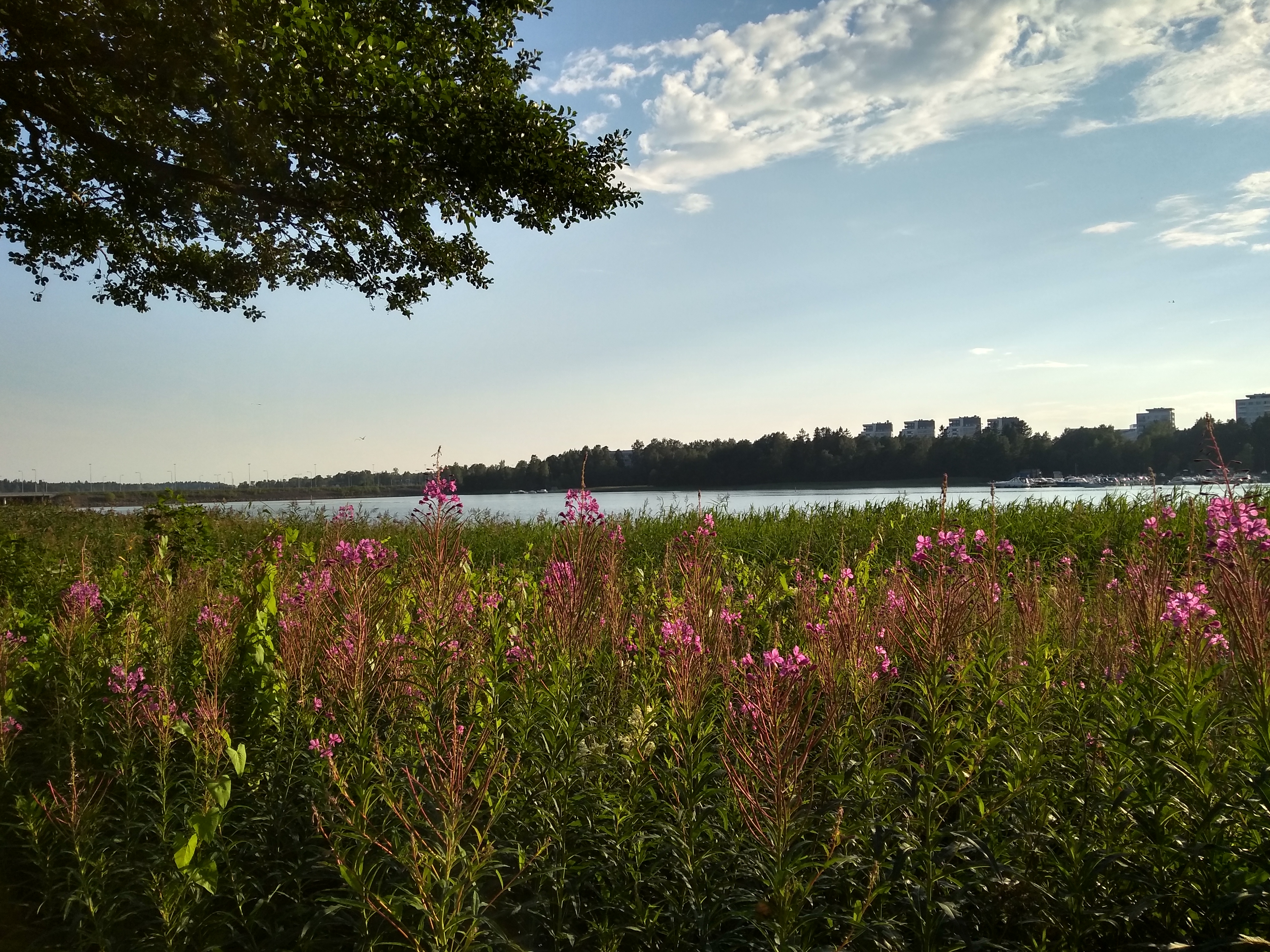 Helsinki_IMG_20180714_200139827_HDR